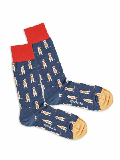 Socken Meerkat MULTI von DillySocks