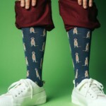 Socken Meerkat MULTI von DillySocks