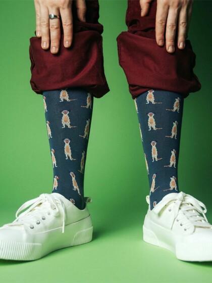 Socken Meerkat MULTI von DillySocks