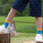 Socken Dino Multi von Kite Clothing