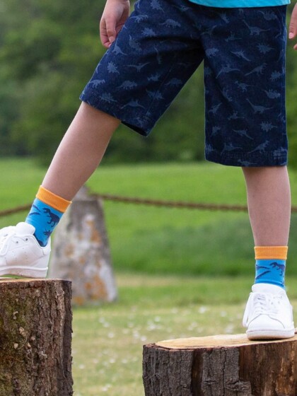 Socken Dino Multi von Kite Clothing