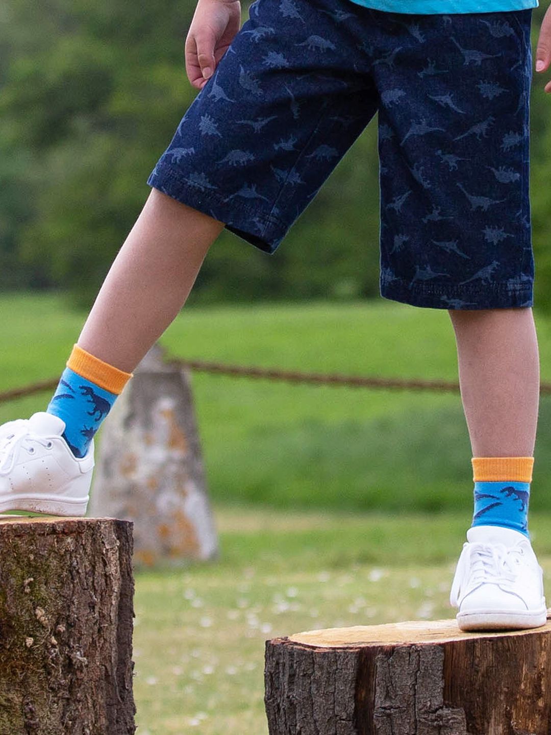 Socken Dino Multi von Kite Clothing