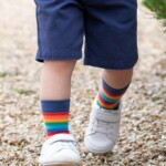 Socken Dino Multi von Kite Clothing