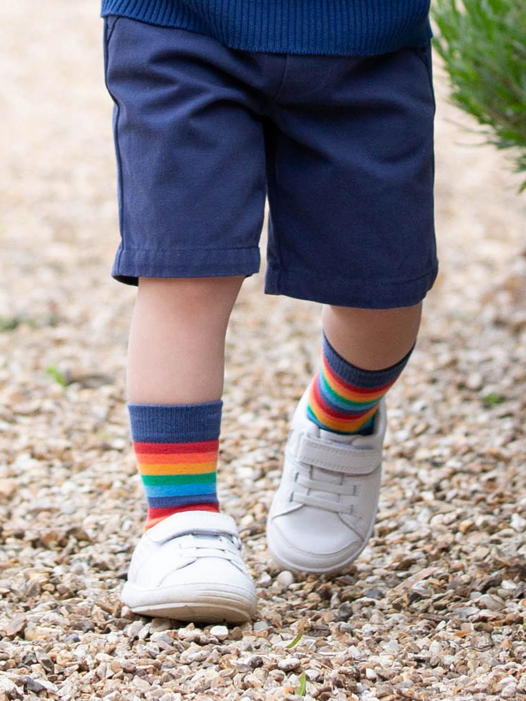 Socken Dino Multi von Kite Clothing