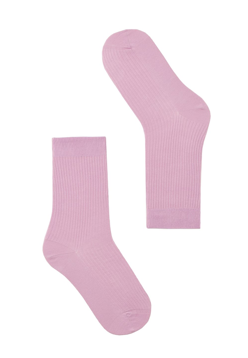 Socken Herb orchid von recolution