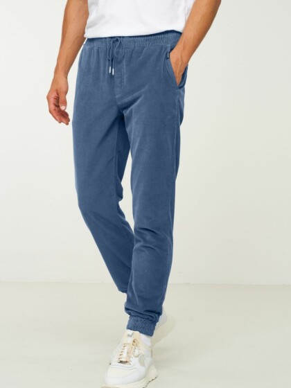 Hose Jog Chino Cyperus dark arctic blue von