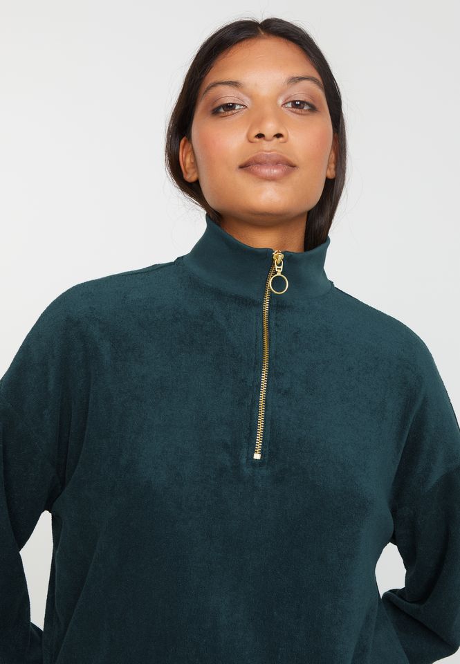 Troyer Hosta deep green von recolution