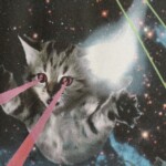 T-Shirt Stockholm Lazer Cats forged iron von Dedicated.