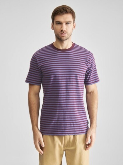 T-Shirt Stockholm Stripes fig von Dedicated.