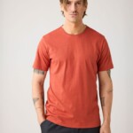 Basic T-shirt burnt brick von KnowledgeCotton Apparel