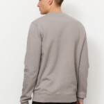 Sweatshirt Tamarillo greige von recolution