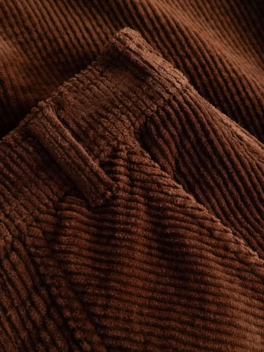 Hose Workwear Vara Corduroy cappuccino brown von Dedicated.
